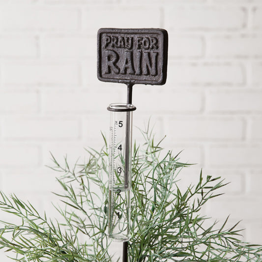 Rain Gauge - Pray for Rain