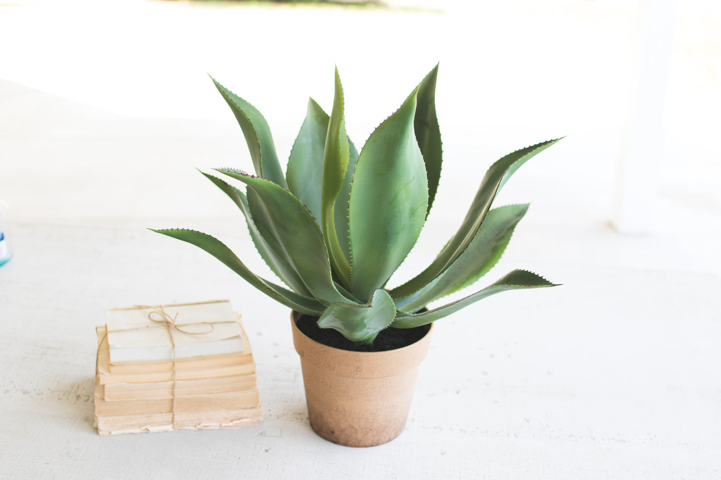 ArtificialAgaveInaFauxTerracottaPot - Potted plant on a white surface with a small wooden block