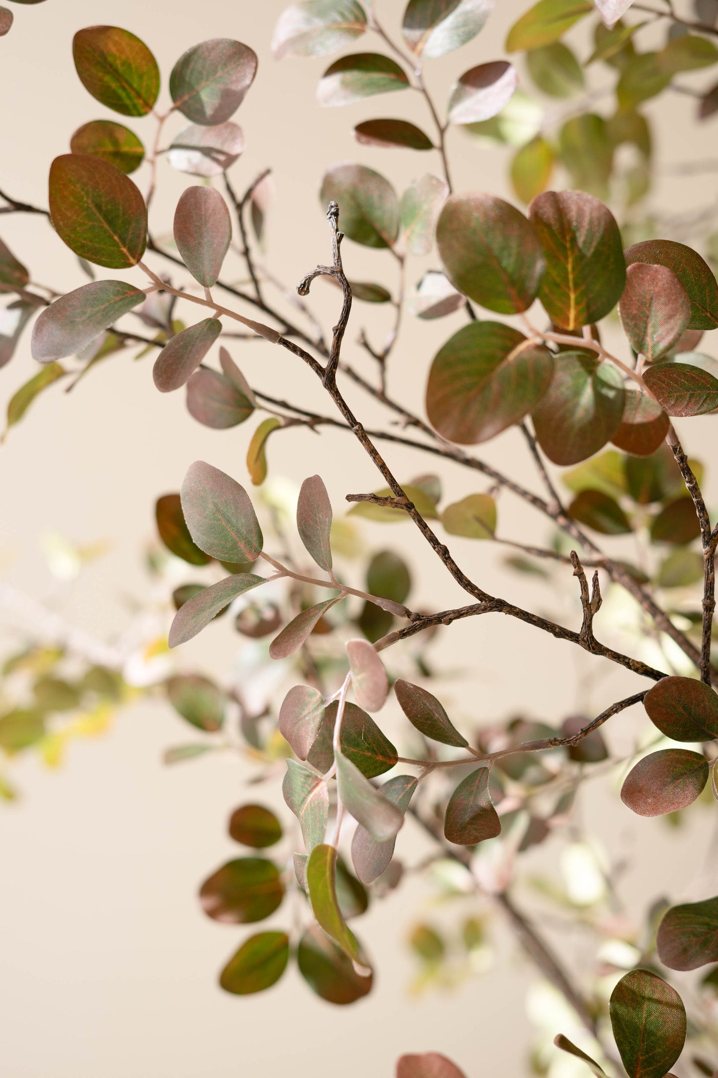 ArtificialCrepeMyrtleTreeinaBlackPlasticPot-2 Close-up of a branch with green and brown leaves on a blurred background
