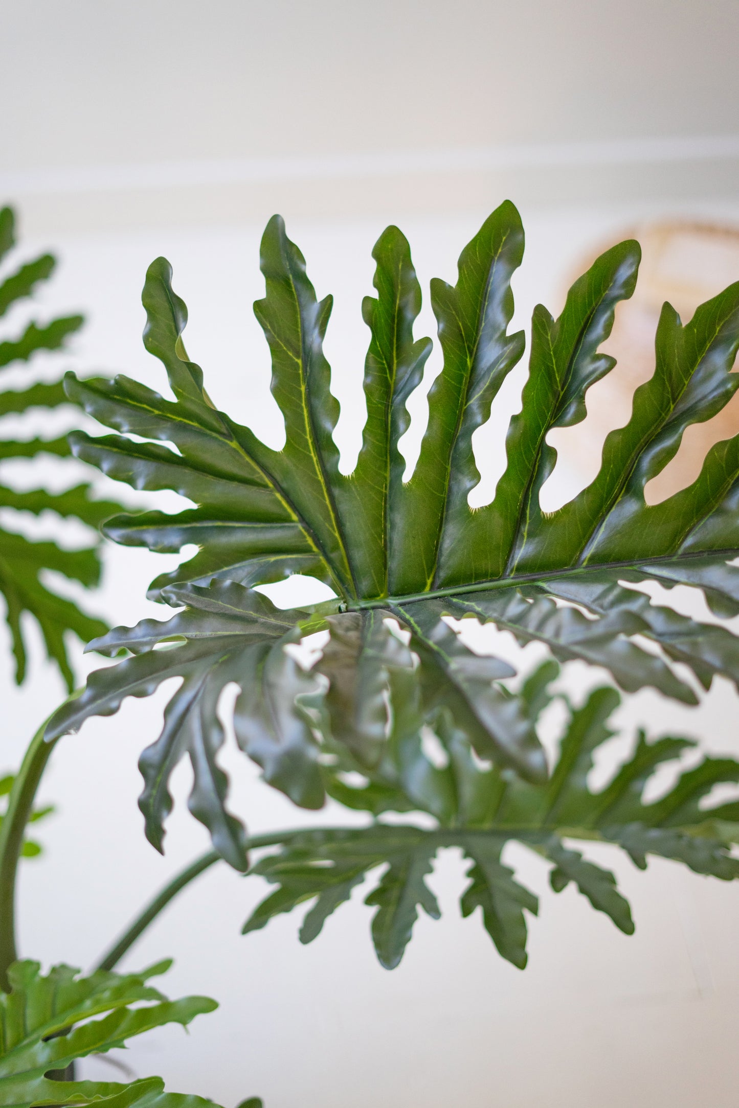 ArtificialPhilodendroninaBlackPlasticPot-2 - Close-up of a green leaf with a blurred background