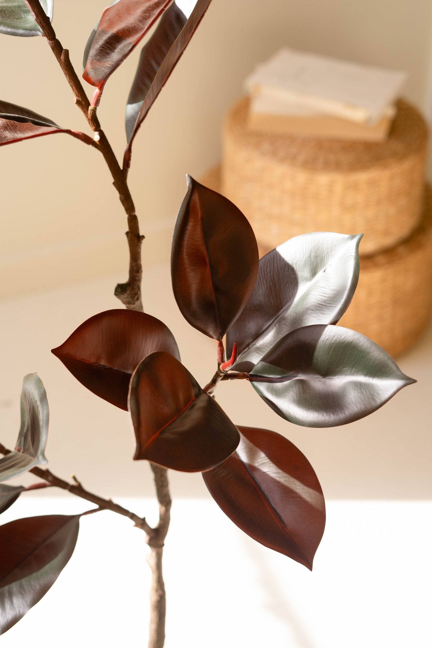 ArtificialRubberTreewithBlackPlasticPot-2 - Close up of leaves
