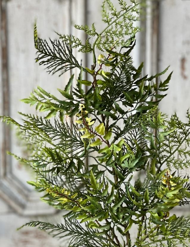 Deer Fern Greenery