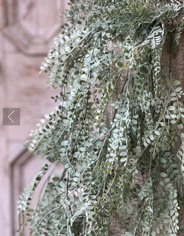 Dusty Green Hanging Leaves Greenery
