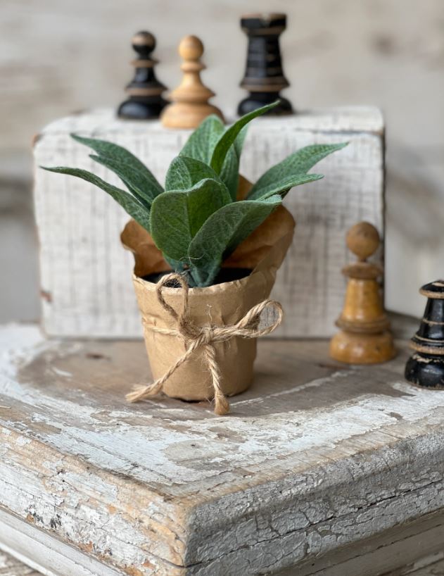 Mini Potted Cowslip Plant