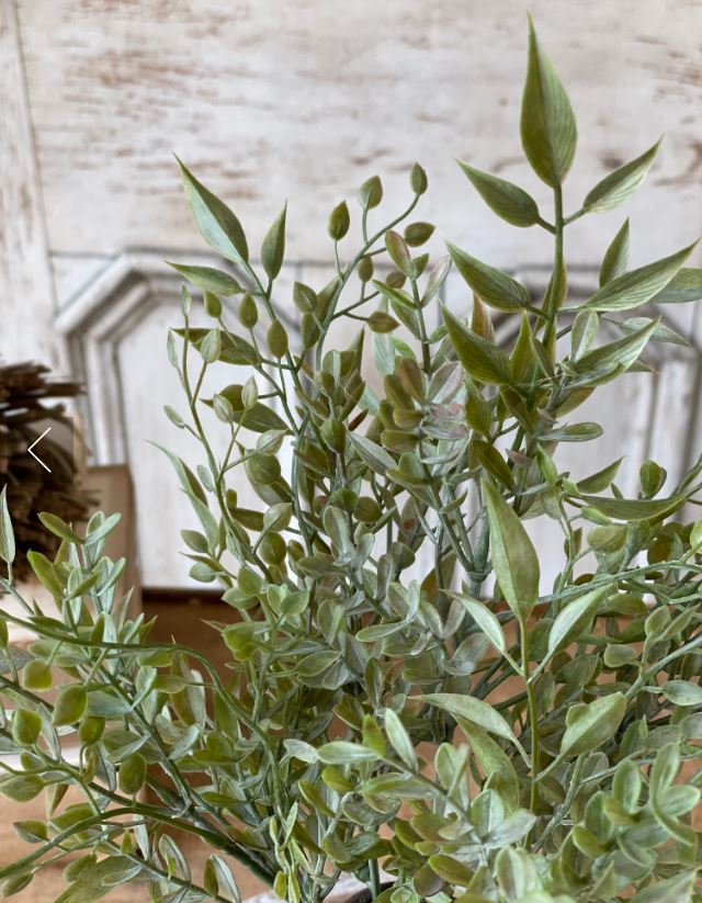 Mixed Sage Bush - 12”
