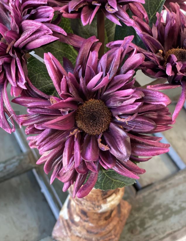 Purple spider mum bouquet