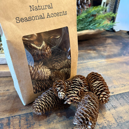 Dried Natural Pine Cones