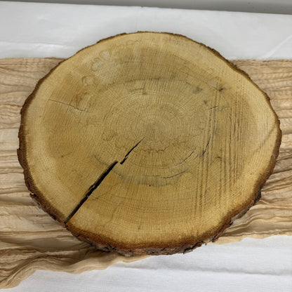Rustic Wood Charger - Wood Slab