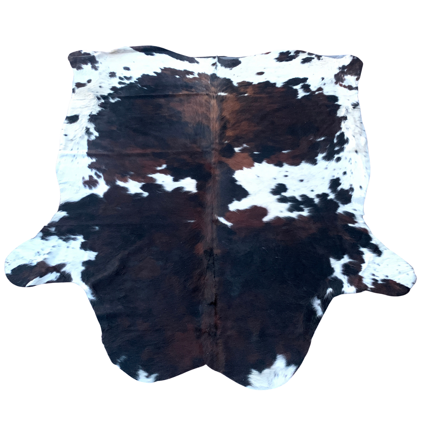 Dark Browns Tricolor Cowhide with white