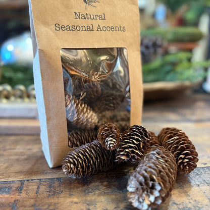 Dried Natural Pine Cones