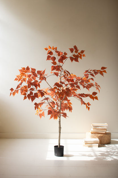 ArtificialAutumnBirchTreeinaBlackPlasticPot-1_6b344872-6922-4a24-851c-2264cfd62273 - Potted plant with orange leaves on a white surface with a beige wall background