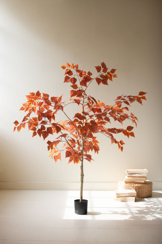 ArtificialAutumnBirchTreeinaBlackPlasticPot-1_6b344872-6922-4a24-851c-2264cfd62273 - Potted plant with orange leaves on a white surface with a beige wall background