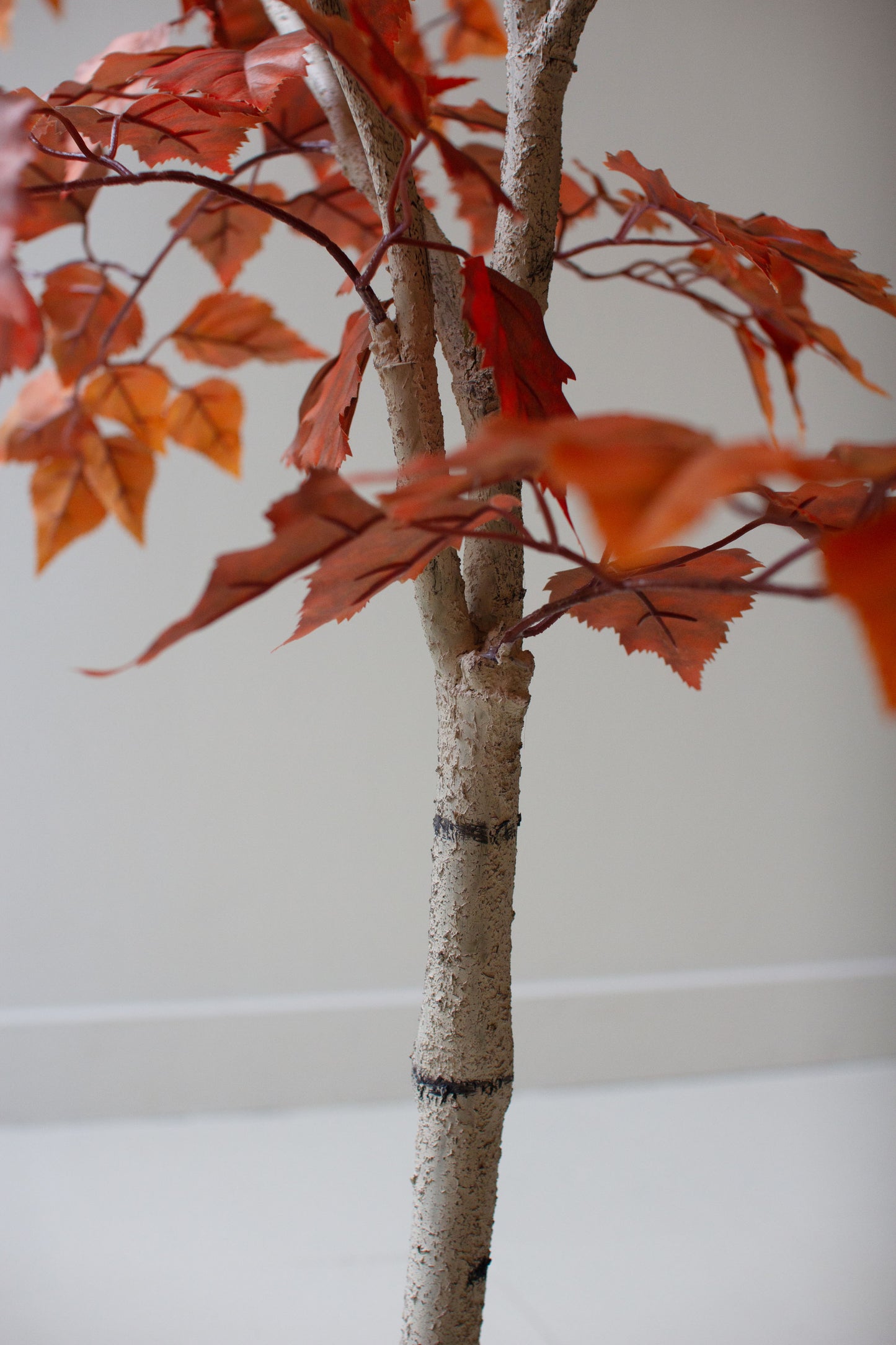 ArtificialAutumnBirchTreeinaBlackPlasticPot-5 - Artificial tree with red leaves on a plain background