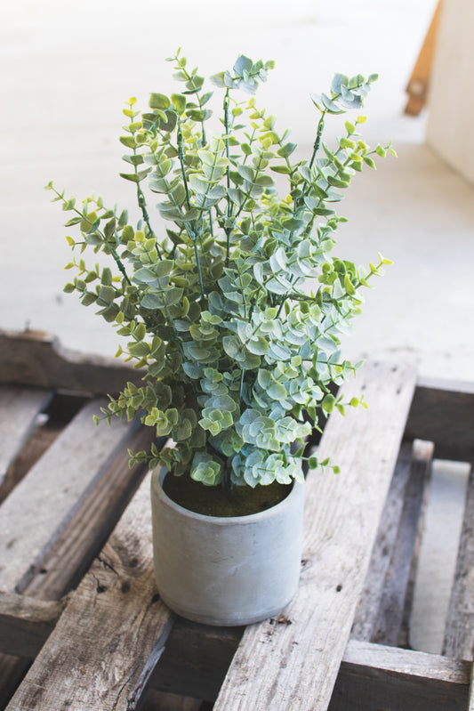 ArtificialEucalyptusInaCementPot - Potted plant on a wooden surface with a white background