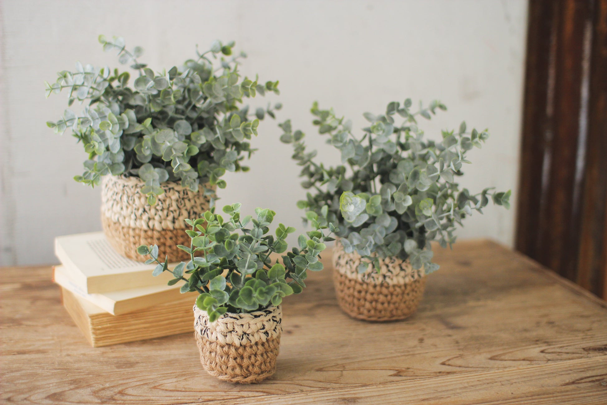 ArtificialEucalyptusPlantsInWovenPots-3 - Three potted plants on a wooden surface with a neutral background