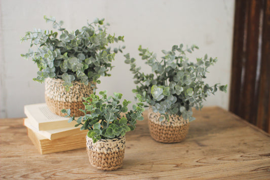 ArtificialEucalyptusPlantsInWovenPots-3 - Three potted plants on a wooden surface with a neutral background