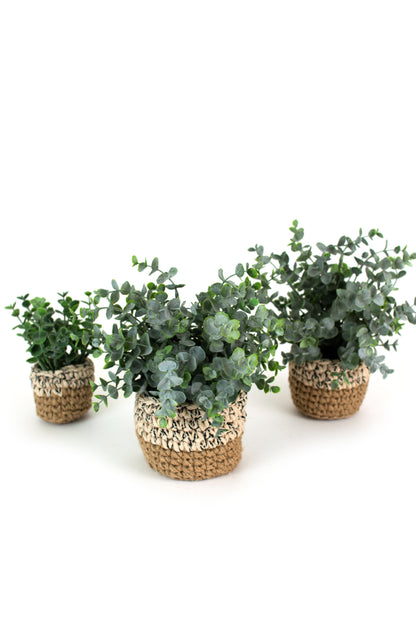 ArtificialEucalyptusPlantsInWovenPots - Three potted plants with woven baskets on a white background
