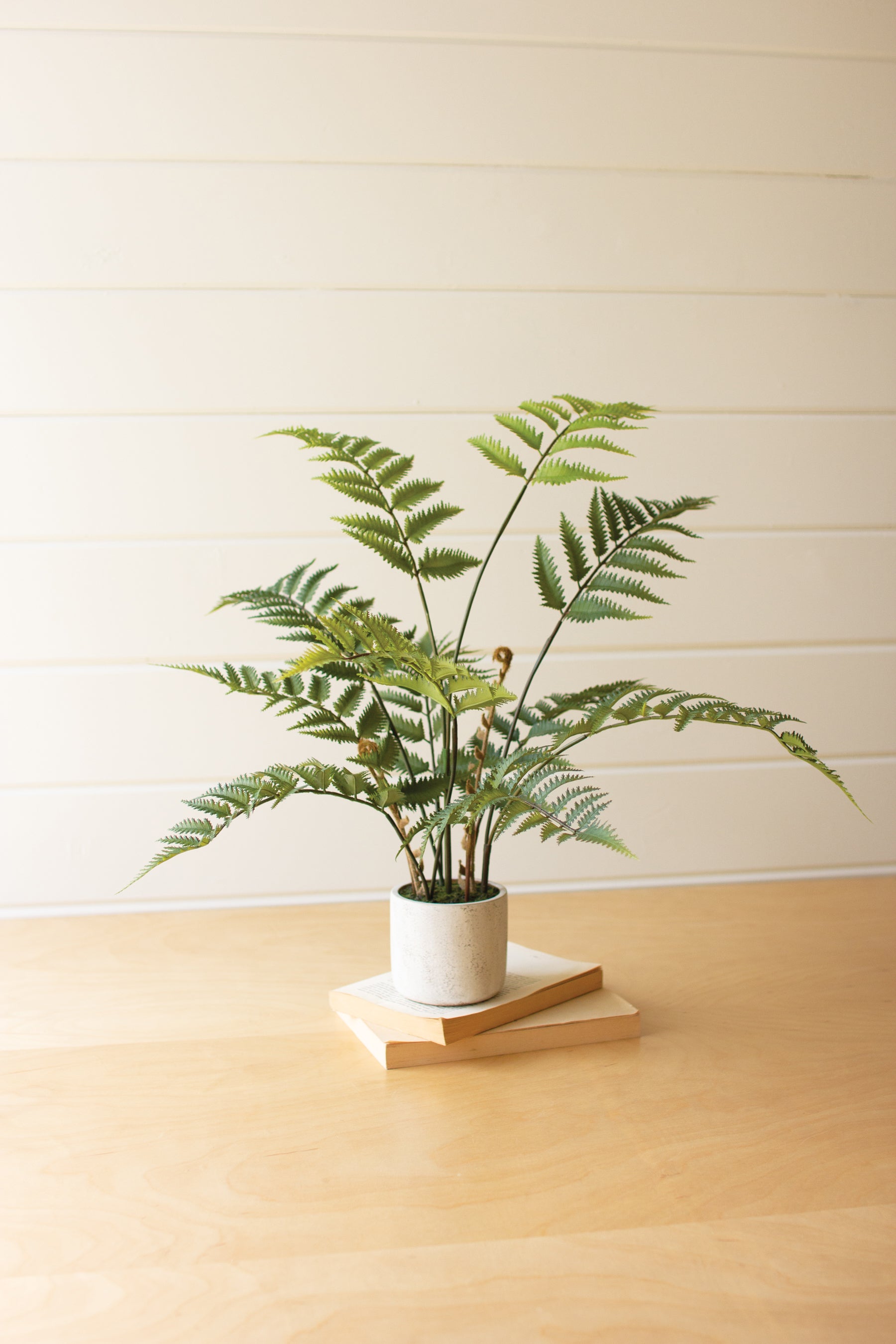 ArtificialFernInaCementPot-1 - Potted fern plant on a wooden surface with a light wooden panel background