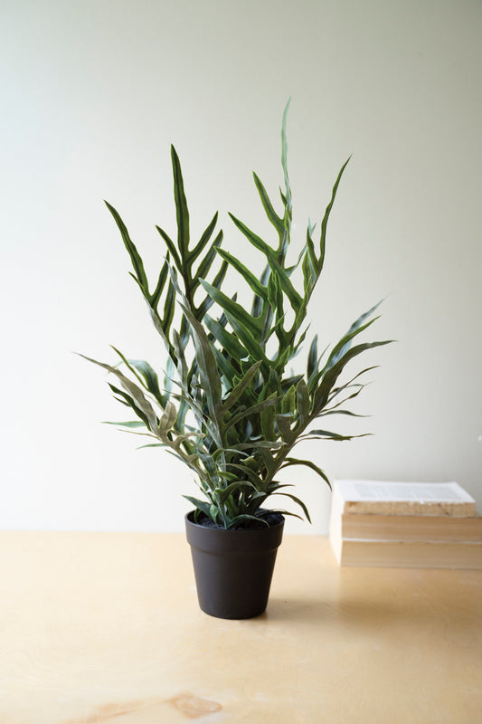 ArtificialFerninaBlackPlasticPot-1 - artificial fern in black plastic pot