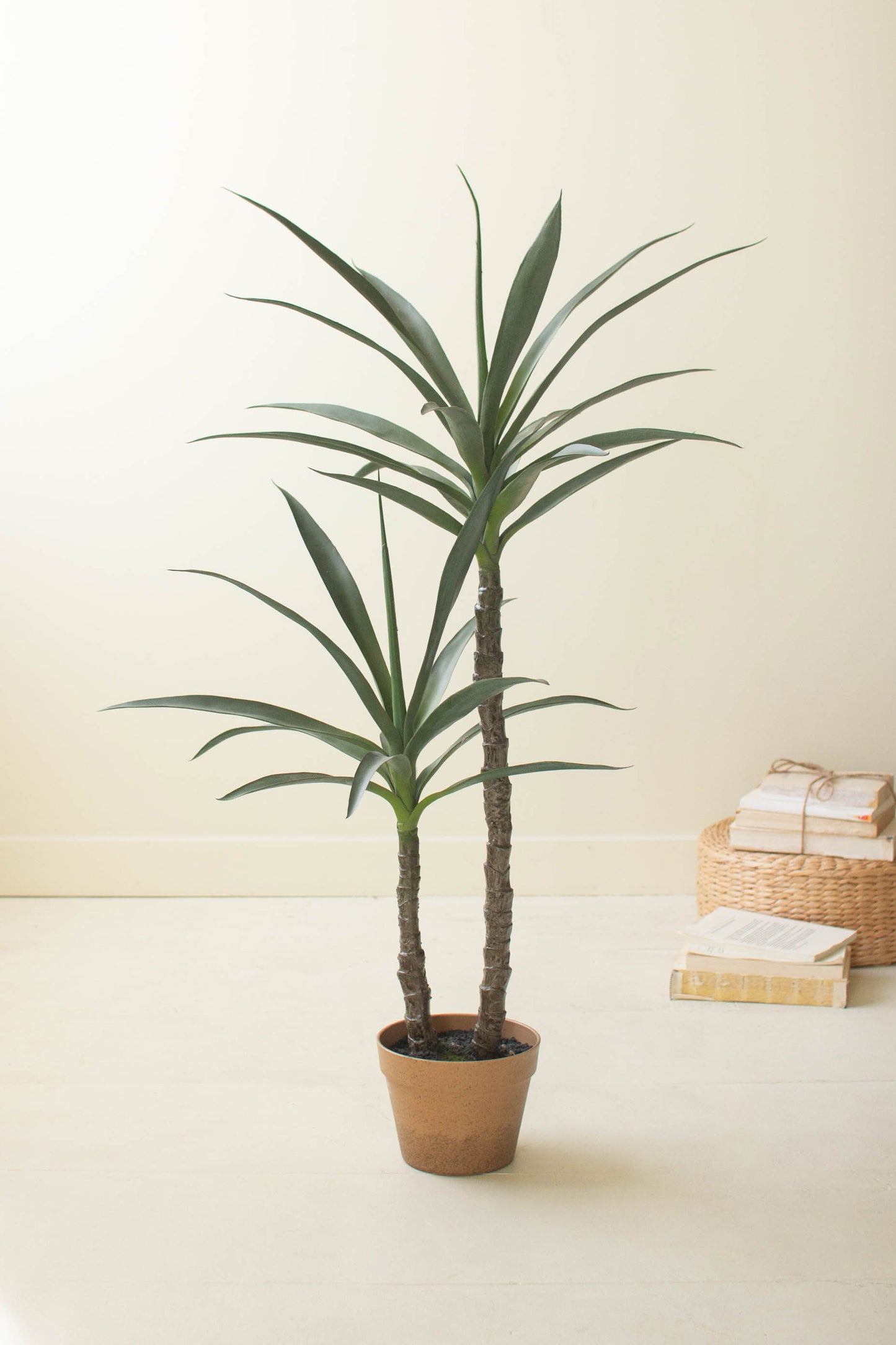 ArtificialHenekenPlantwithFauxTerracottaPot-20 - Potted plant on a white surface with wicker baskets in the background