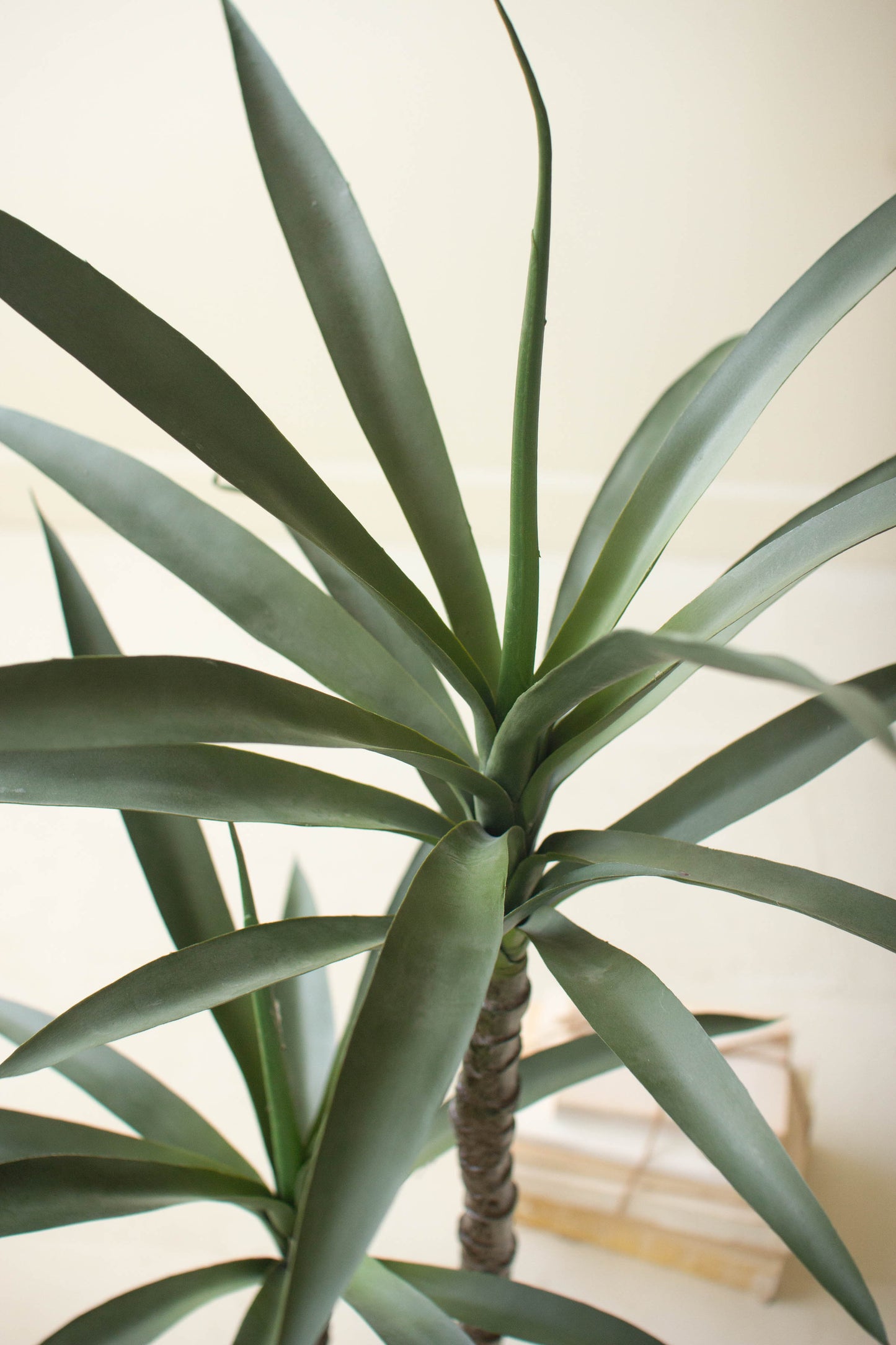ArtificialHenekenPlantwithFauxTerracottaPot-21 - Close-up of a green plant with a blurred indoor background