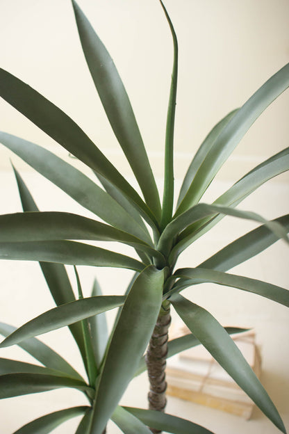 ArtificialHenekenPlantwithFauxTerracottaPot-21 - Close-up of a green plant with a blurred indoor background