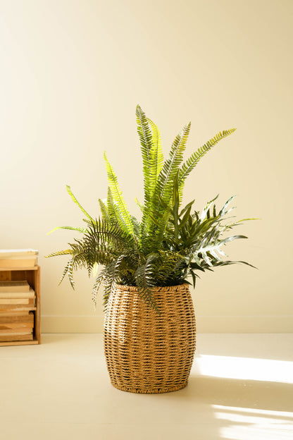 ArtificialMixedFernsinBlackPlasticPot-1 - Fern in woven basket