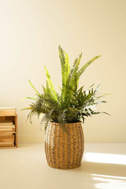 ArtificialMixedFernsinBlackPlasticPot-1 - Fern in woven basket