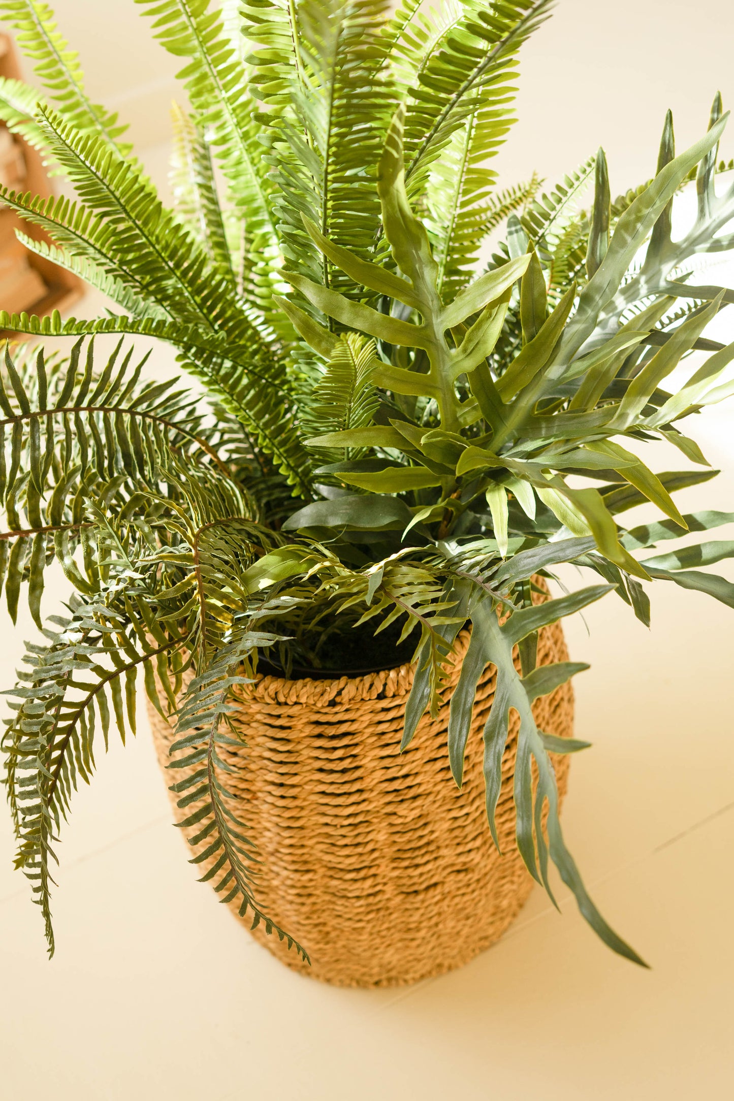 ArtificialMixedFernsinBlackPlasticPot-2 - Close up of fern in  woven basket