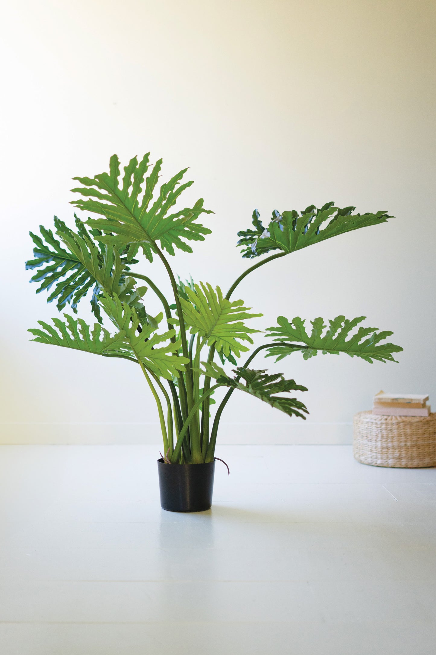 ArtificialPhilodendroninaBlackPlasticPot-1 - Potted plant on a white surface with a neutral background