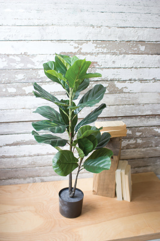 ArtificialPottedFiddleLeafFigInBlackPlasticPot - Potted fiddle leaf fig plant on a wooden surface with a rustic wooden background