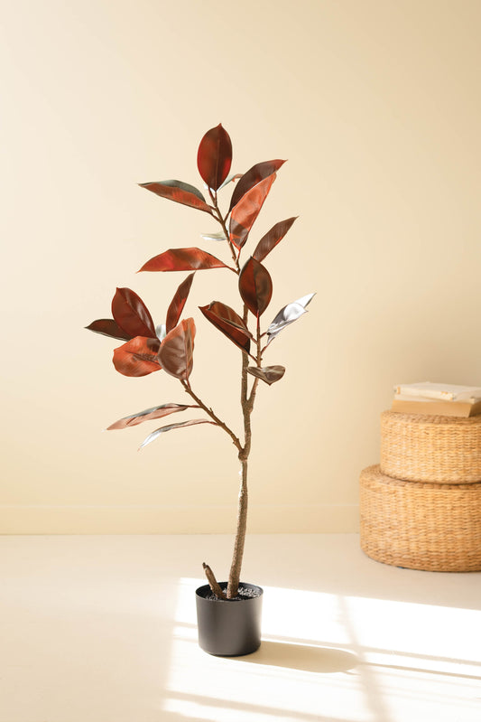 ArtificialRubberTreewithBlackPlasticPot-1 - Tree with burgundy leaves in black plastic pot 