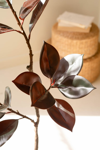ArtificialRubberTreewithBlackPlasticPot-2 - Close up of leaves 