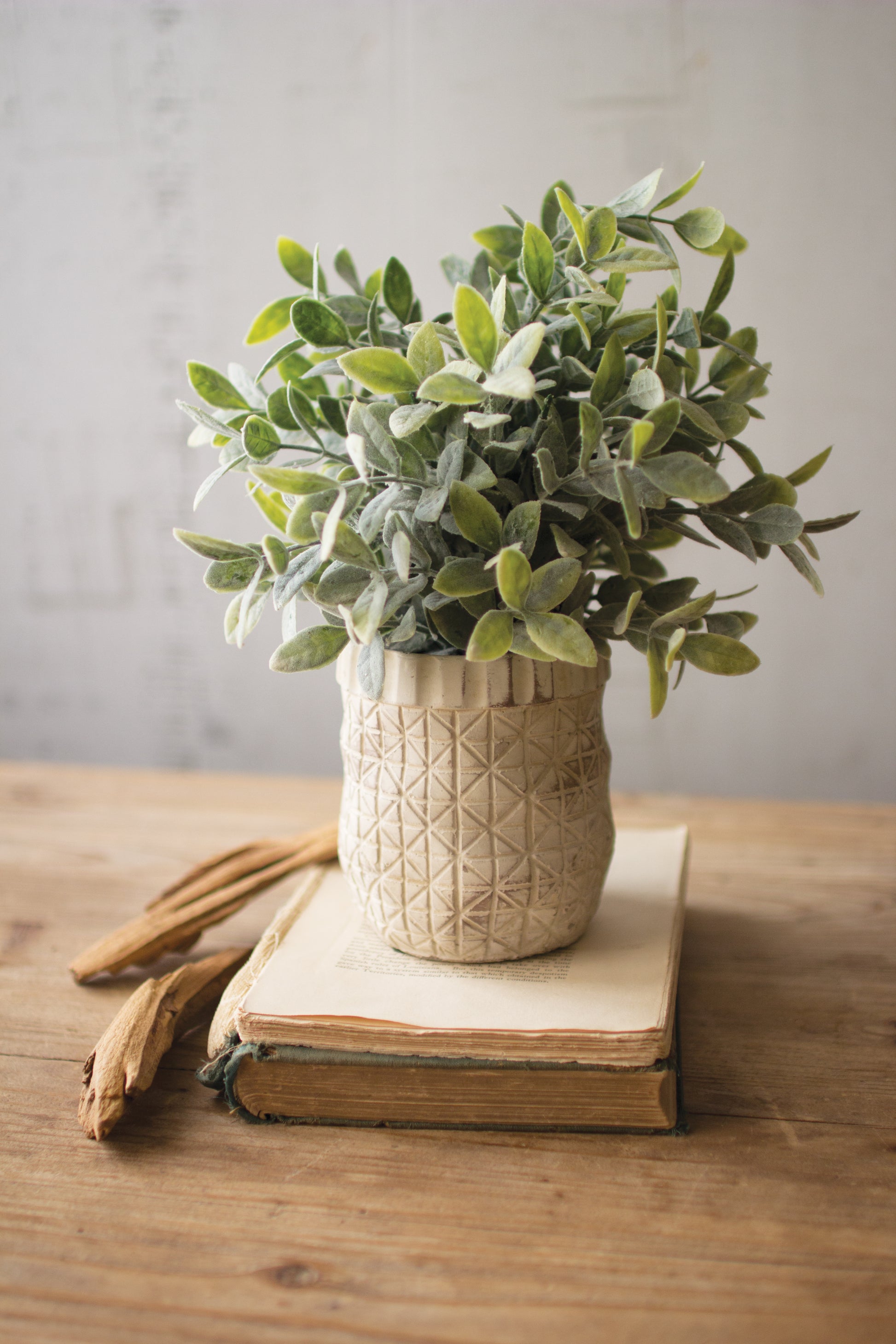 ArtificialSagewithCrisscrossRusticWhitePot - Potted plant on an open book with cinnamon sticks on a wooden surface