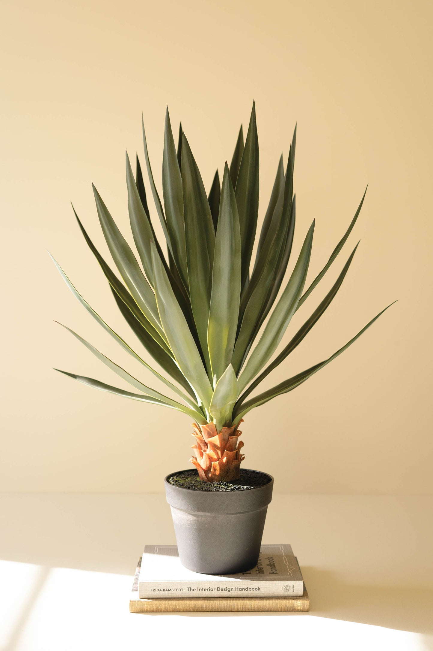 ArtificialSisalPlantinBlackPlasticPot-1 - green leaf plant in black plastic pot atop stacked books