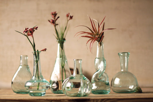 Bottle Bud Vases - Set Of 6