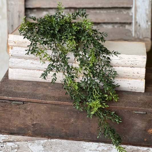 Boxwood Hanging - 32.5"