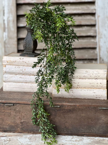Boxwood Hanging - 32.5"