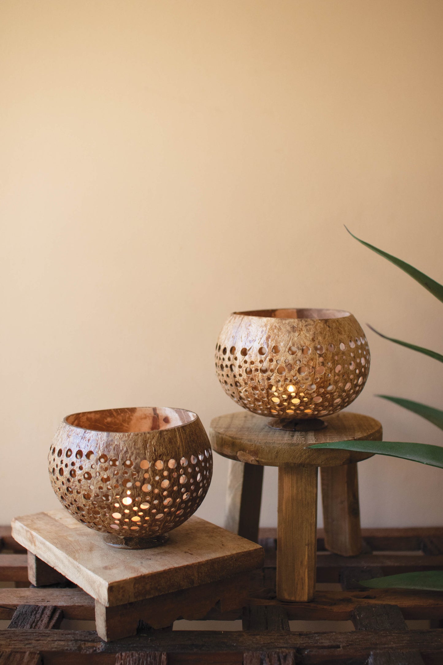 Carved Coconut Luminaries - Set of 2 on wooden stools, showcasing intricate hand-carved details and a warm, natural glow.
