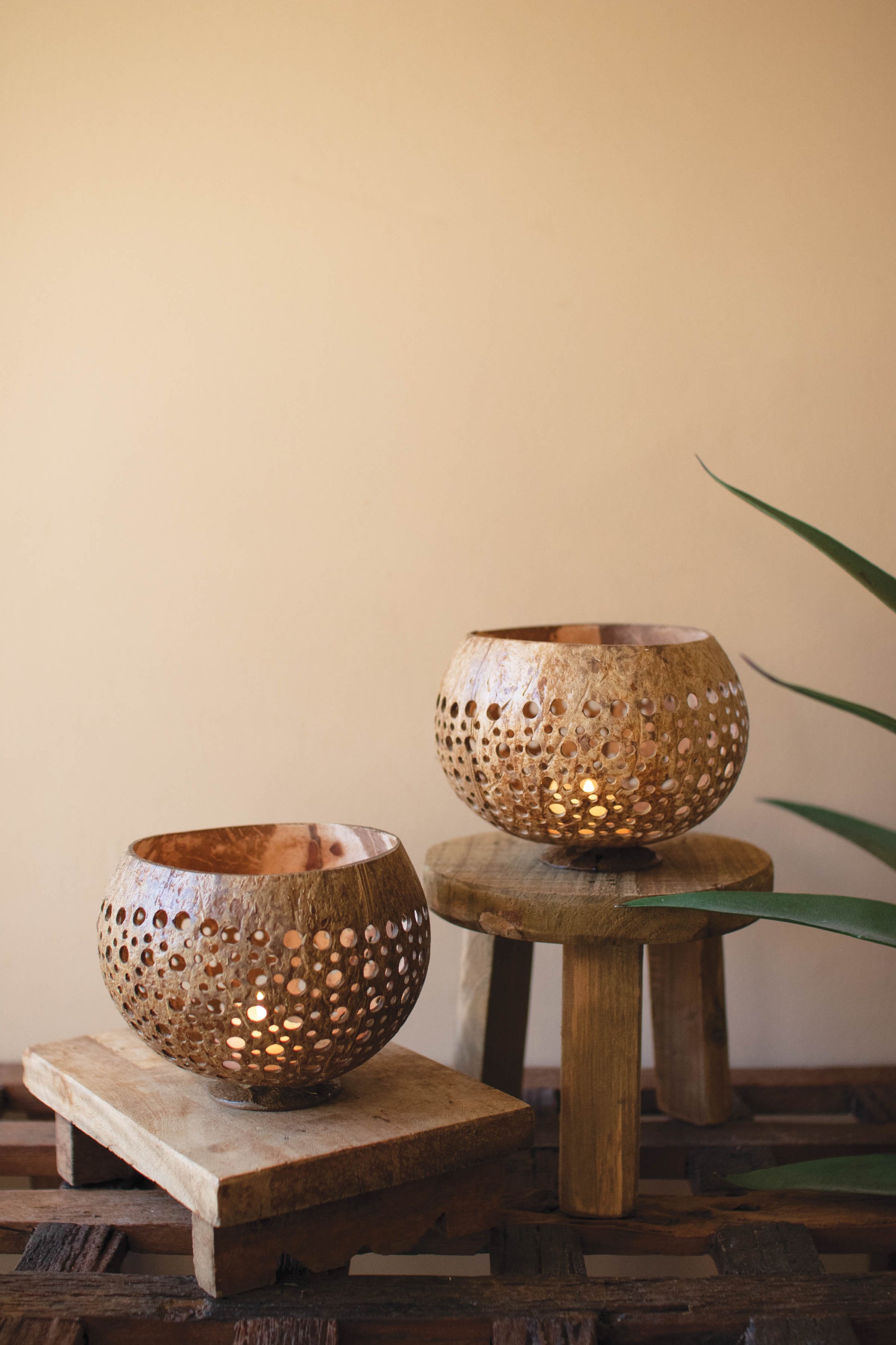 Carved Coconut Luminaries - Set of 2 on wooden stools, showcasing intricate hand-carved details and a warm, natural glow.