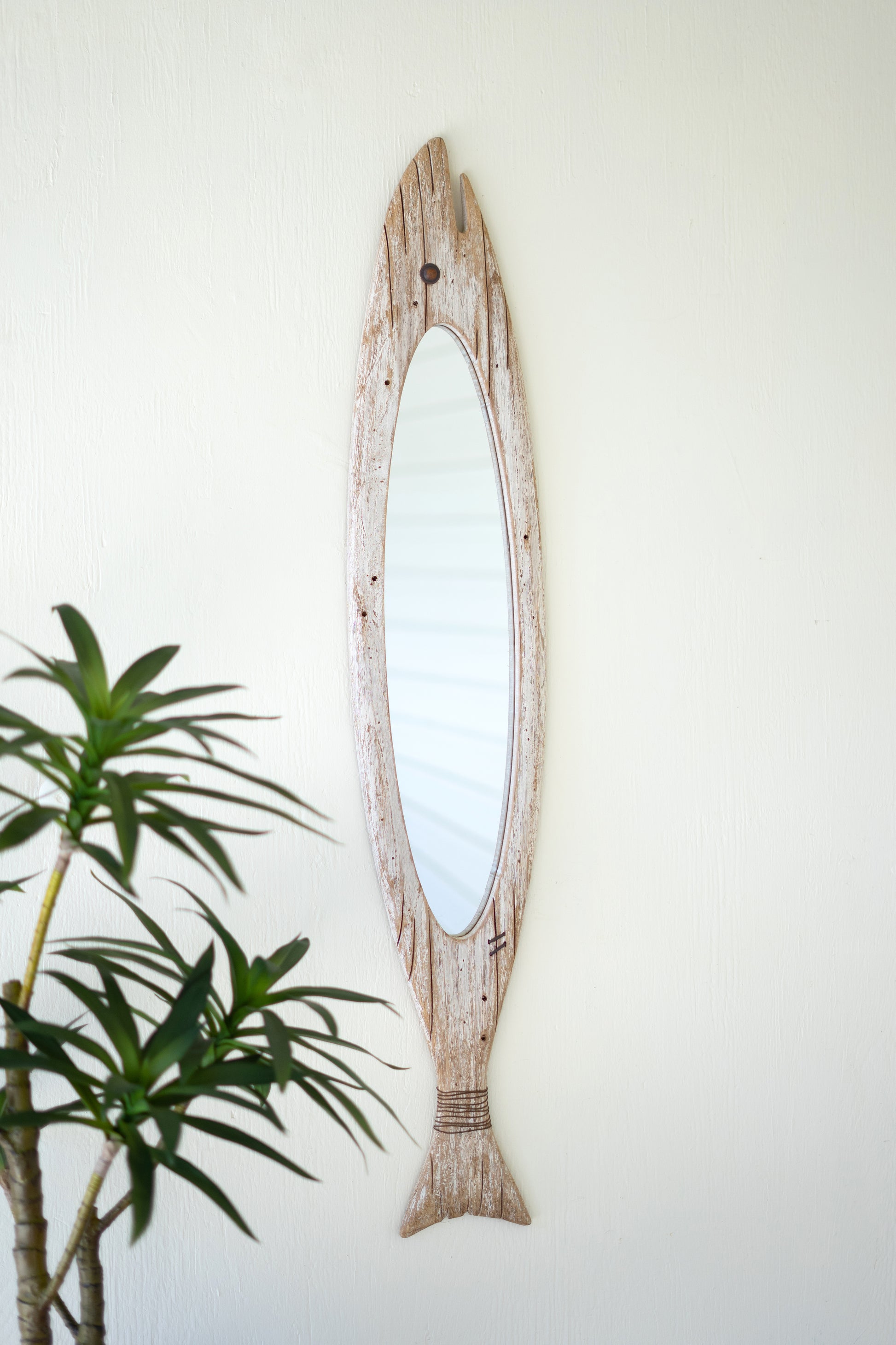CarvedWoodenFishMirror-3 - Wooden fish-shaped mirror on a white wall with a plant in the foreground