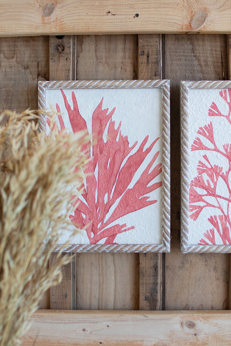 Coral Prints with Wooden Frames - Set of 4