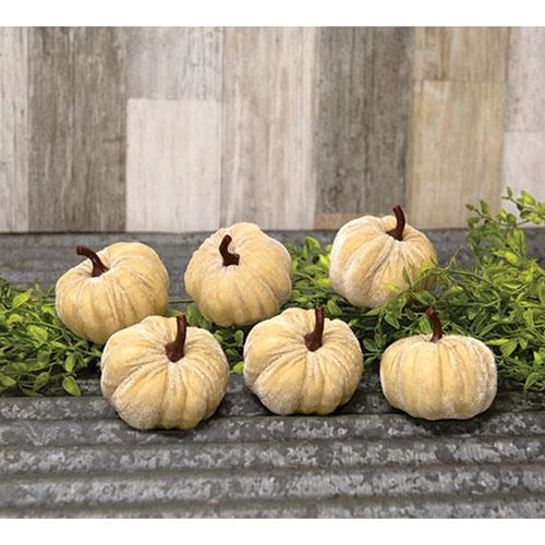 Mini Velvet Beige Pumpkins/ Set of 6