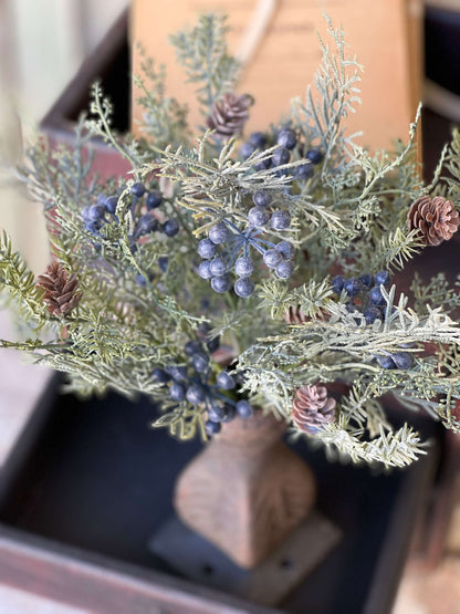 Cypress Bush Blue - 12"