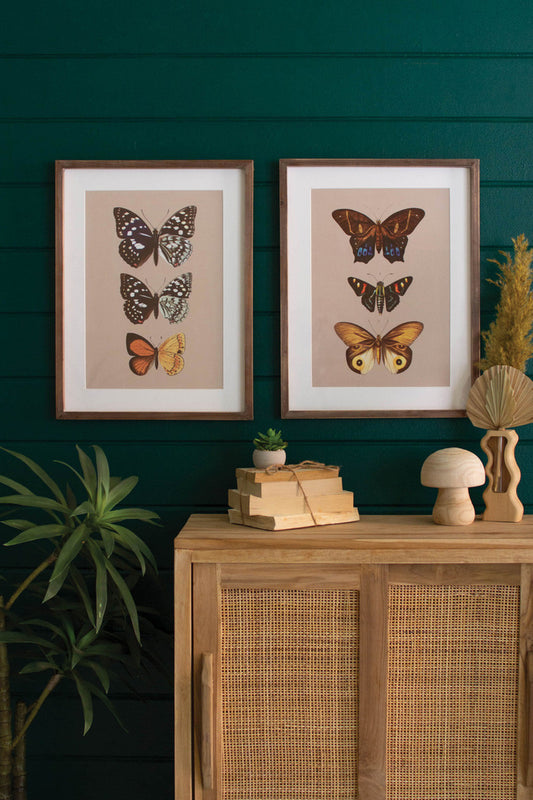 Framed Butterfly Prints - Set Of 2