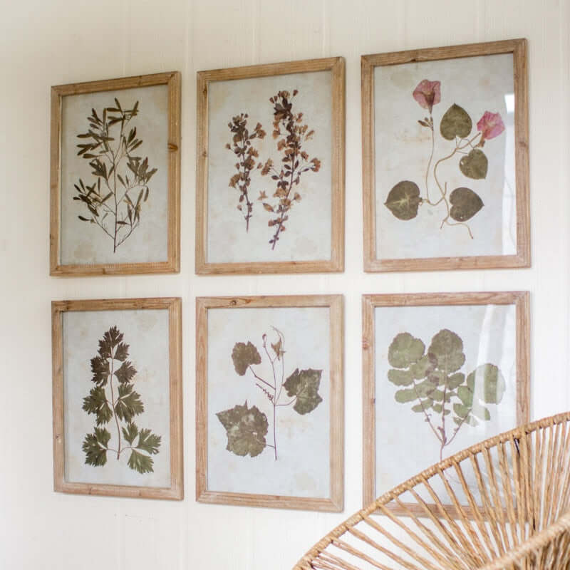 Leaf Prints Under Glass - Set of 6