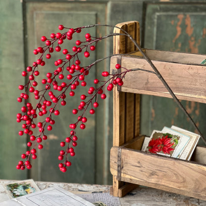 Matte Berry Hanging - 36"