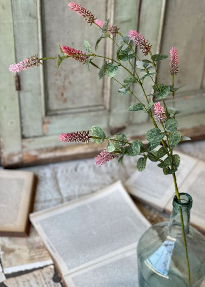 Yarrow Bud Stem - Pink