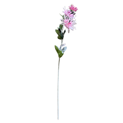 Sassafras Mum Spray - Purple
