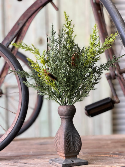 Prickly Pine Pick - 14"